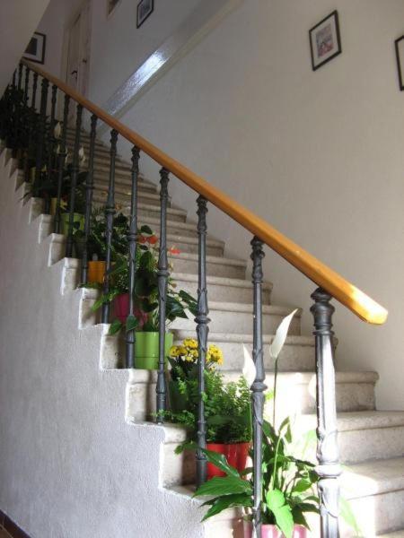 House Boninovo (Adults Only) Hotel Dubrovnik Buitenkant foto